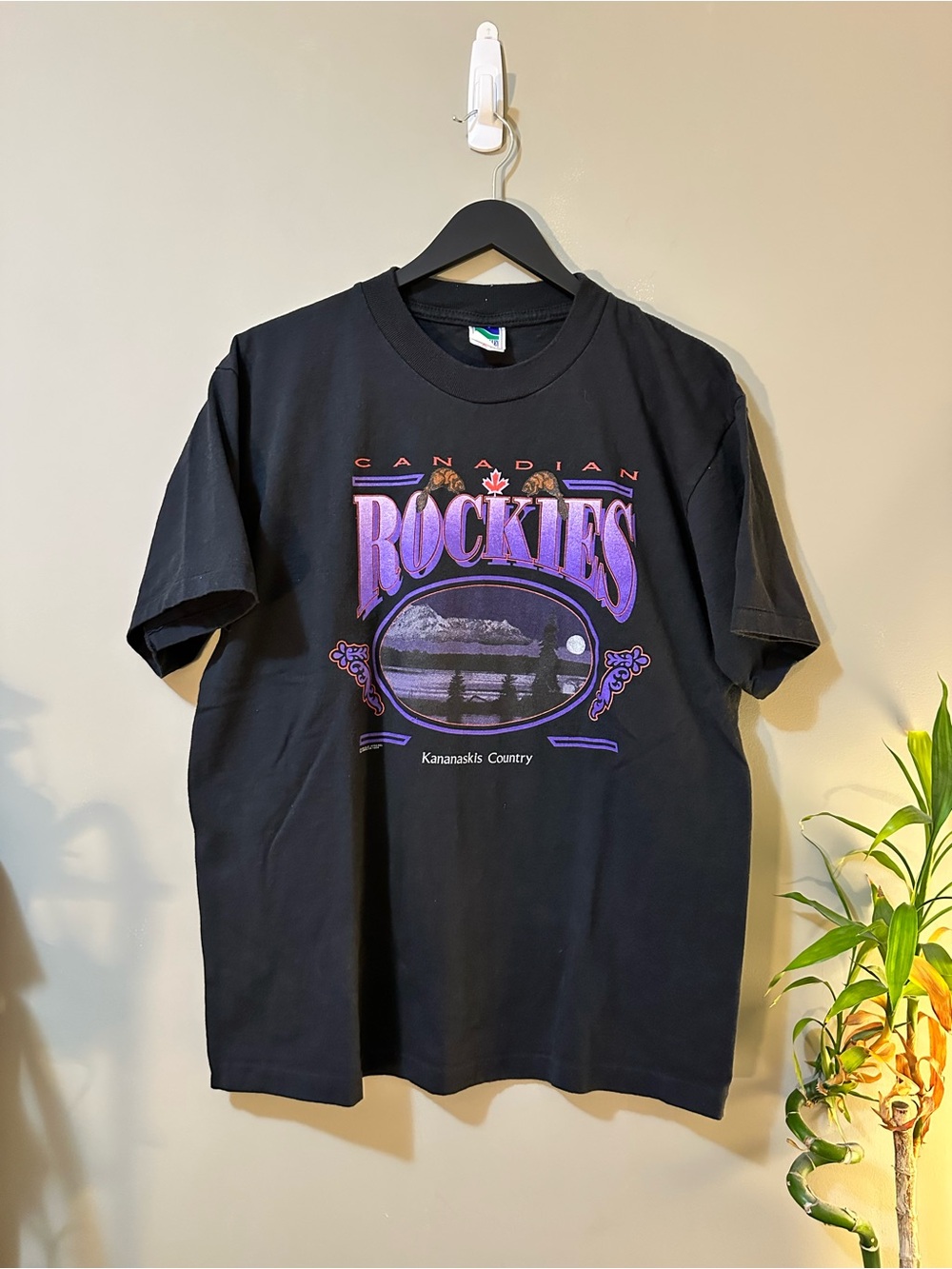 Vintage 1994 Canadian Rockies Black Graphic Tee